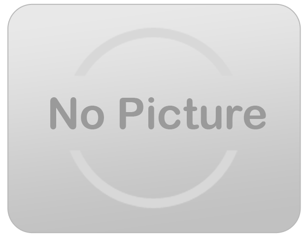 Disney Princess (Banner) Disney Princess (Banner)